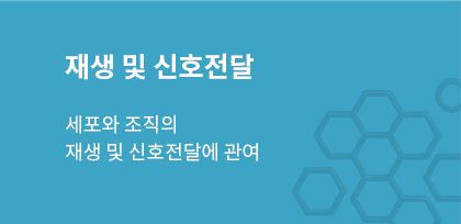 재생 및 신호전달