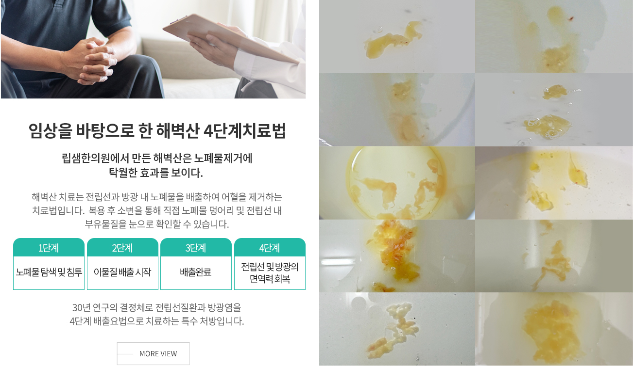 해벽산